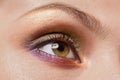 Macro image of woman eye Royalty Free Stock Photo