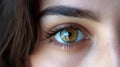 Macro image of a woman& x27;s eye. Close-up of a girl with beautiful eyes. Portrait of a beautiful brunette with natural