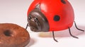 Macro of an insect looking at a chocolate cookie Royalty Free Stock Photo