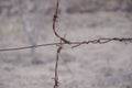 Old rust Barbed wire Royalty Free Stock Photo