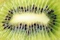 Macro juicy kiwi fruit center Royalty Free Stock Photo