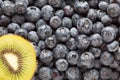 Macro Kiwi and Blueberries