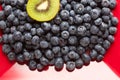 Macro Kiwi and Blueberries on Red Dish