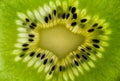 Macro of a Kiwifruit