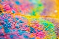 Macro leaves background texture, rainbow colours, soft focus, shallow depth of field Royalty Free Stock Photo