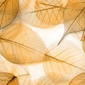 Macro leaves seamless texture Royalty Free Stock Photo