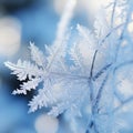 Macro Lens Captures Intricate Patterns of Frost Crystals in a Frosty Wonderland