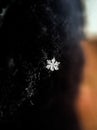 Macro lens image with a snowflake from close Royalty Free Stock Photo