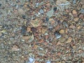 Macro of little stones texture Royalty Free Stock Photo