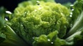 Macro magic: The unseen beauty of vegetables up close and personal