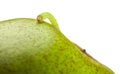 Macro of measuring worm on pear