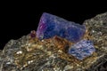 Macro mineral raw uncut blue sapphire crystal-close up Royalty Free Stock Photo