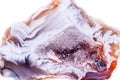 Macro mineral stone agate bud on white background Royalty Free Stock Photo