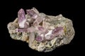 Macro mineral stone Amethyst crystals in rock on a black background Royalty Free Stock Photo