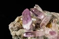 Macro mineral stone Amethyst crystals in rock on a black background Royalty Free Stock Photo