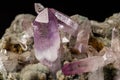 Macro mineral stone Amethyst crystals in rock on a black background Royalty Free Stock Photo