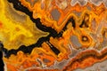 Macro mineral stone `Bee` jasper on a gray