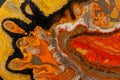 Macro mineral stone `Bee` jasper on a gray