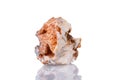 Macro mineral stone Cerussite on a white background Royalty Free Stock Photo
