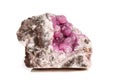 Macro mineral stone Cobalt Calcite rock on white background