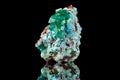 Macro mineral stone Dioptase on a black background Royalty Free Stock Photo