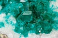 Macro mineral stone Dioptase silicate copper on a white background Royalty Free Stock Photo