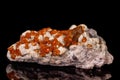 Macro mineral stone Grossular, Garnet, Epidote on a black background Royalty Free Stock Photo