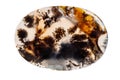 Macro mineral stone Moss Agate, Agata muschiataan white background