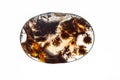 Macro mineral stone Moss Agate, Agata muschiataan white background Royalty Free Stock Photo