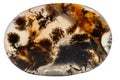 Macro mineral stone Moss Agate, Agate muschiataan white Royalty Free Stock Photo