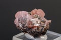 Macro mineral stone Rhodochrosite on a black background