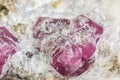 Macro mineral stone Ruby in rock on white background Royalty Free Stock Photo
