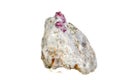 Macro mineral stone Ruby in rock on white background Royalty Free Stock Photo
