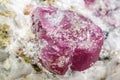 Macro mineral stone Ruby in rock on white background Royalty Free Stock Photo