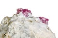 Macro mineral stone Ruby in rock on white background Royalty Free Stock Photo