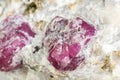 Macro mineral stone Ruby in rock on white background Royalty Free Stock Photo