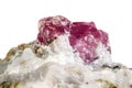 Macro mineral stone Ruby in rock on white background Royalty Free Stock Photo