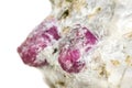 Macro mineral stone Ruby in rock on white background Royalty Free Stock Photo