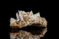 Macro mineral stone Snow quartz with calcite on a black background Royalty Free Stock Photo