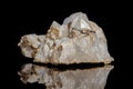 Macro mineral stone Snow quartz with calcite on a black background Royalty Free Stock Photo