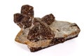 Macro mineral stone Staurolite on a white background