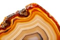 Macro mineral stone Yellow, brown Agate breed a white background Royalty Free Stock Photo