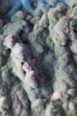 Macro of mold relief Royalty Free Stock Photo
