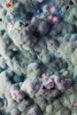 Macro of mold relief Royalty Free Stock Photo