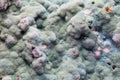 Macro of mold relief Royalty Free Stock Photo