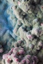 Macro of mold relief Royalty Free Stock Photo