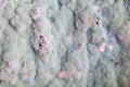 Macro of mold relief Royalty Free Stock Photo