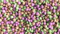 Macro multicolored french macaroon 3d render image