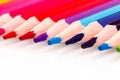 Macro multicolored pencils on a white background