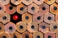 A macro OCD of a very orderly stack of new #2 unsharpened pencil ends with a triggering Red Sharpened point of a colored pencil in